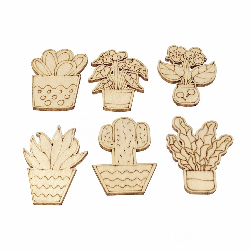 Cactus Mix Pot - 50개 혼합 스타일 꽃 선인장 화분