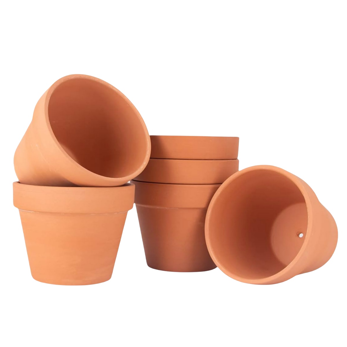 6pcs 4 인치 테라코타 냄비 꽃 냄비 배수 구멍이있 - Cactus Mix Pot 리뷰 및 가격