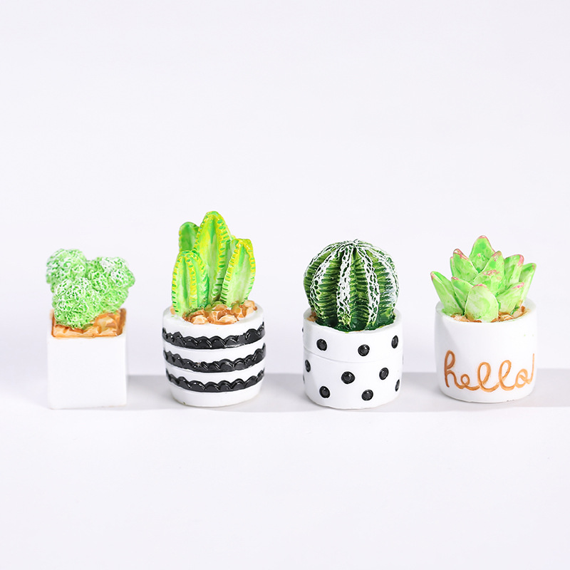 미니 다육 화분 장식품 4개/세트, 귀여운 선인장 식물 - Cactus Mix Pot 리뷰 및 가격