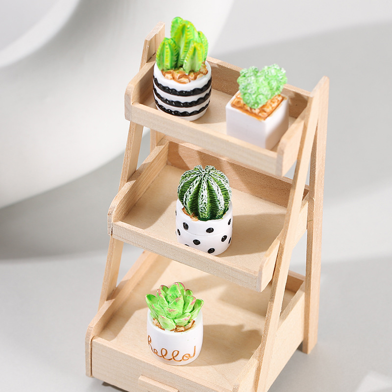 미니 다육 화분 장식품 4개/세트, 귀여운 선인장 식물 - Cactus Mix Pot 리뷰 및 가격