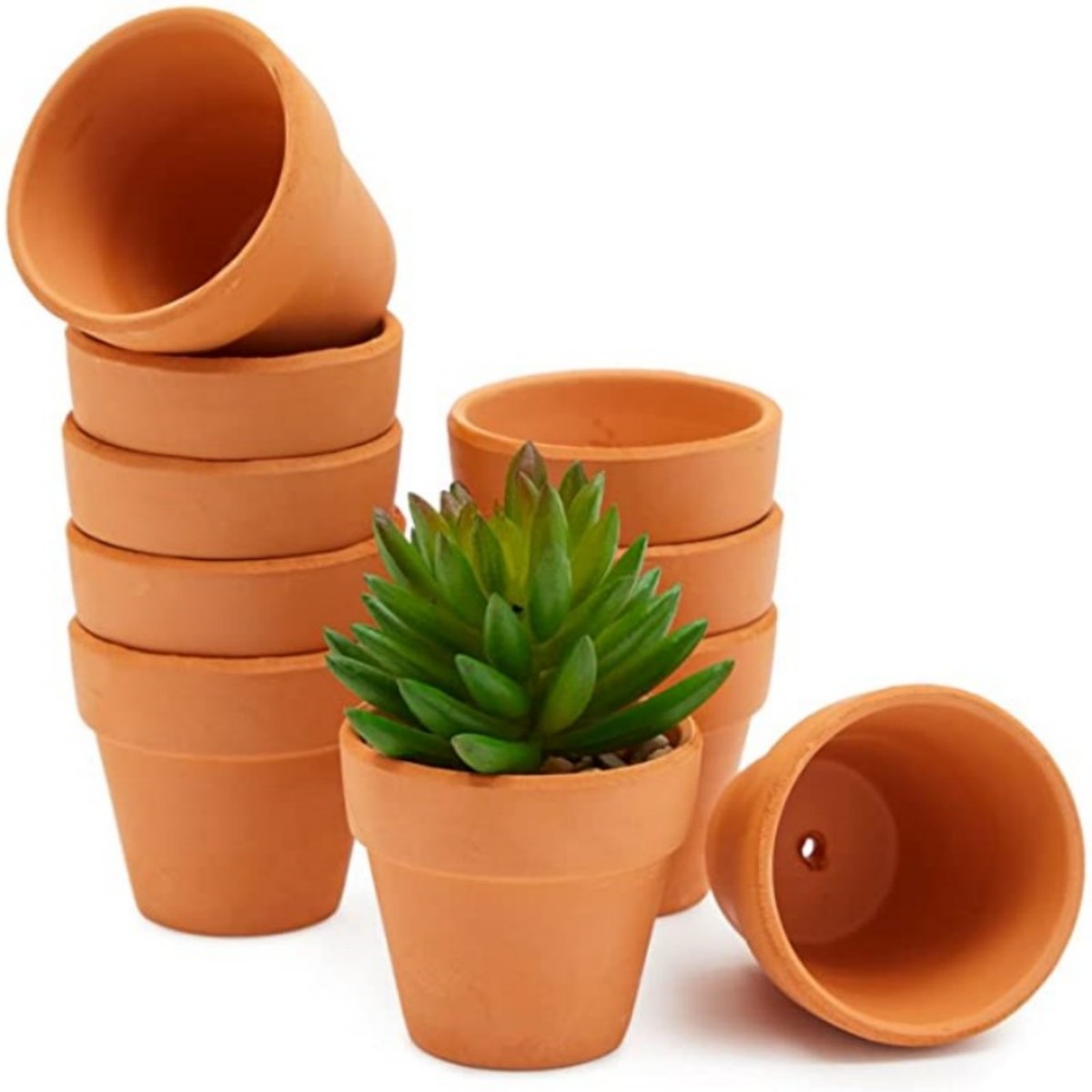 16 Pcs 1.8 ''테라 코타 냄비 도자기 화분 선 - Cactus Mix Pot 리뷰 및 가격