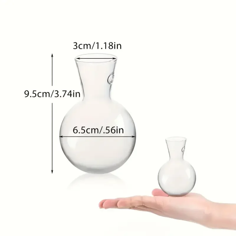 창의적인 반원형 벽걸이 화병 꽃받침대 식물 수경재배 수 - Plant Parent 리뷰 및 가격