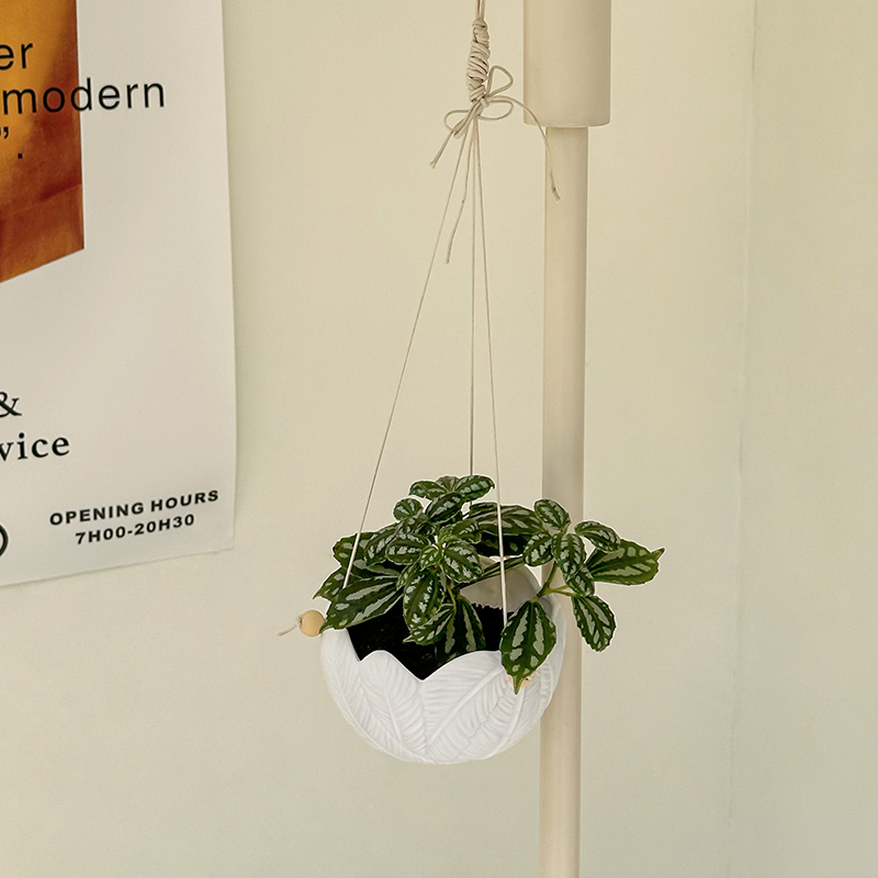 흰색 질감 레진 벽걸이 화분, 깃털 무늬 양각 화분,  - Plant Parent 리뷰 및 가격