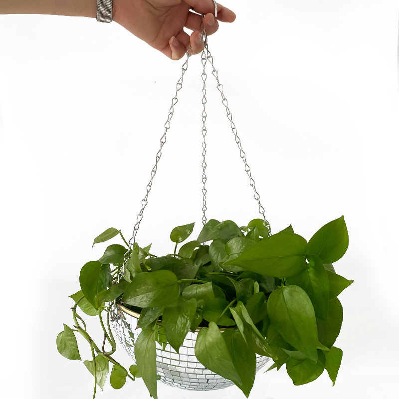 디스코 미러볼 걸이형 화분 바구니 다육식물 화분 실내  - Plant Parent 리뷰 및 가격